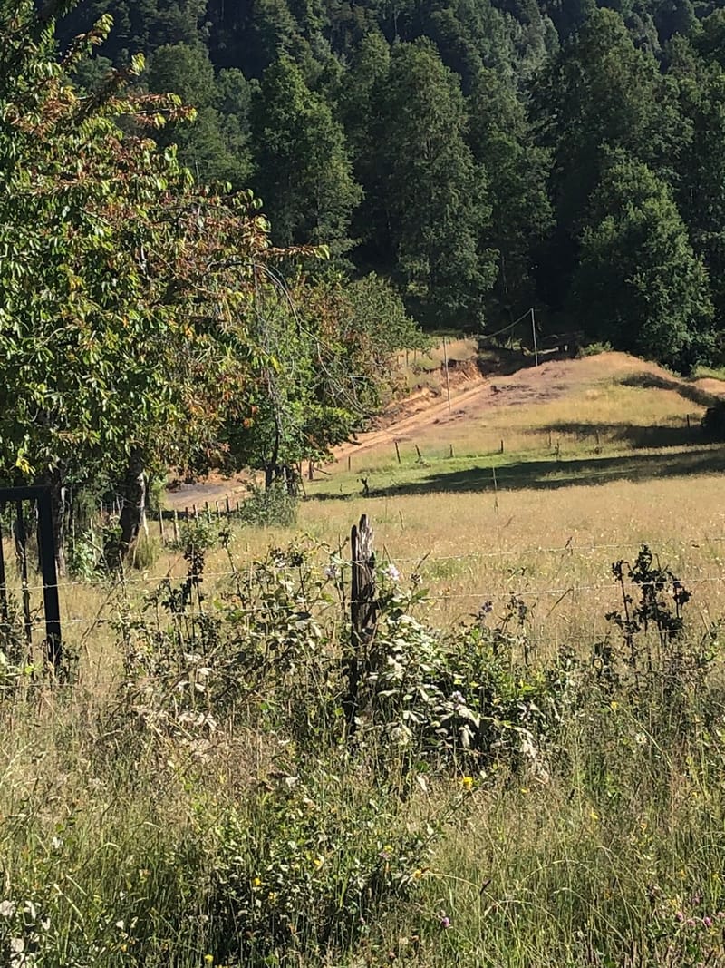 CAMPO $160.000.000.- VILLARRICA