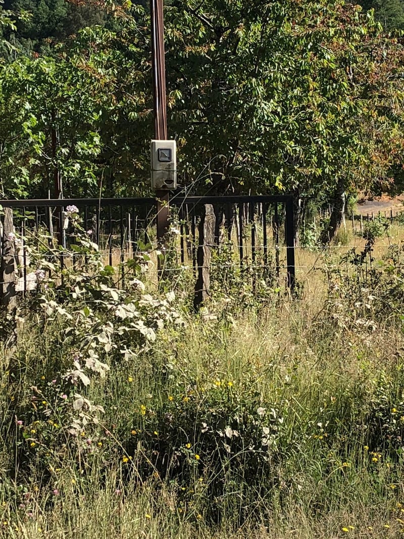 CAMPO $160.000.000.- VILLARRICA