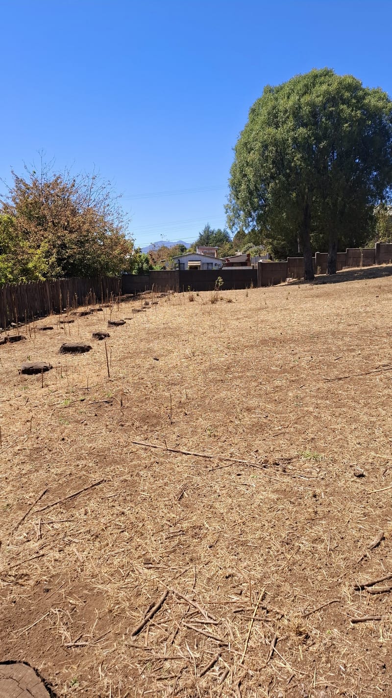 SITIO $120.000.000.- CURACAUTIN