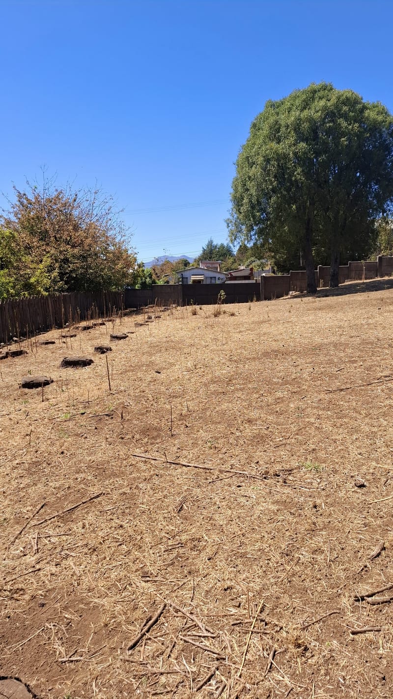 SITIO $120.000.000.- CURACAUTIN