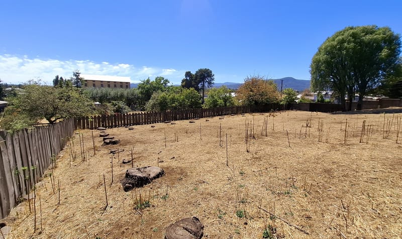 SITIO $120.000.000.- CURACAUTIN