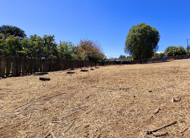 SITIO $120.000.000.- CURACAUTIN