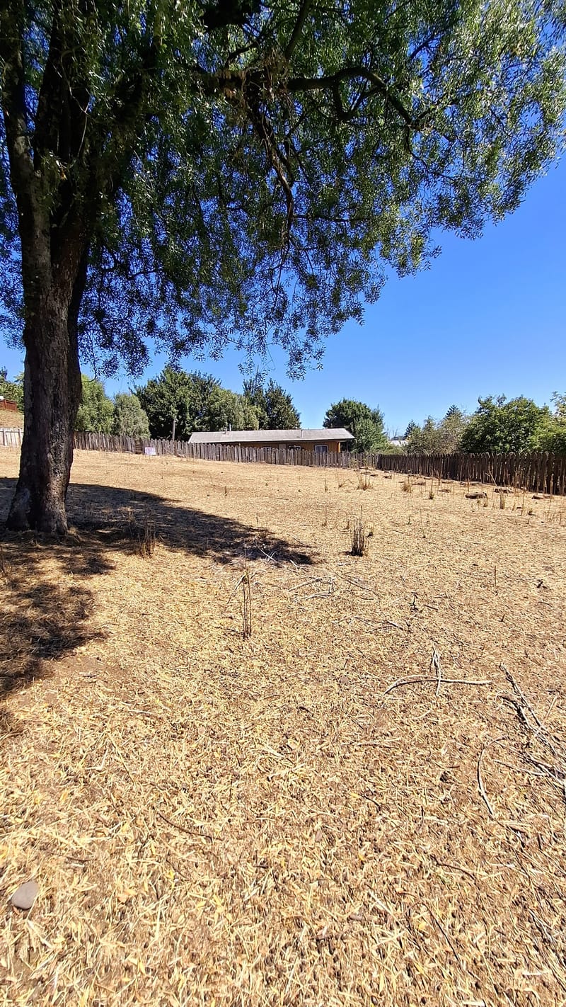 SITIO $120.000.000.- CURACAUTIN