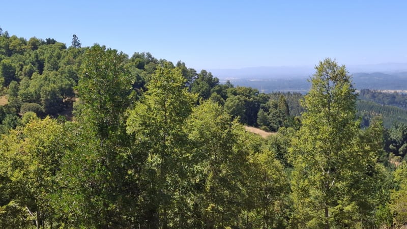 PARCELAS DESDE $40.000.000.- TEMUCO