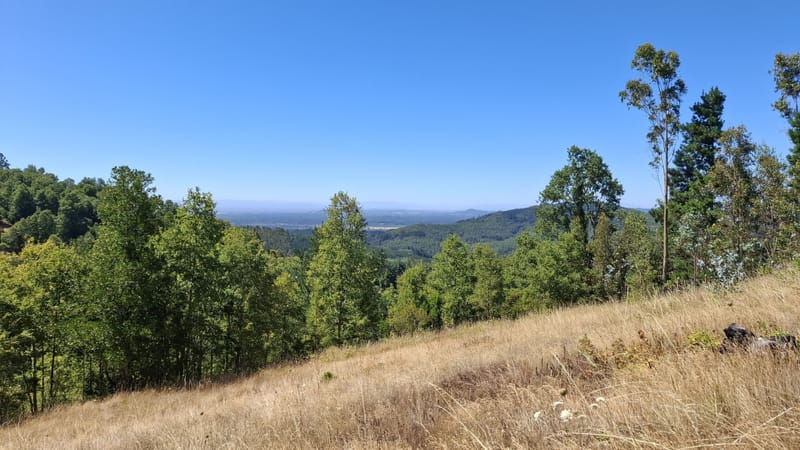 PARCELAS DESDE $40.000.000.- TEMUCO