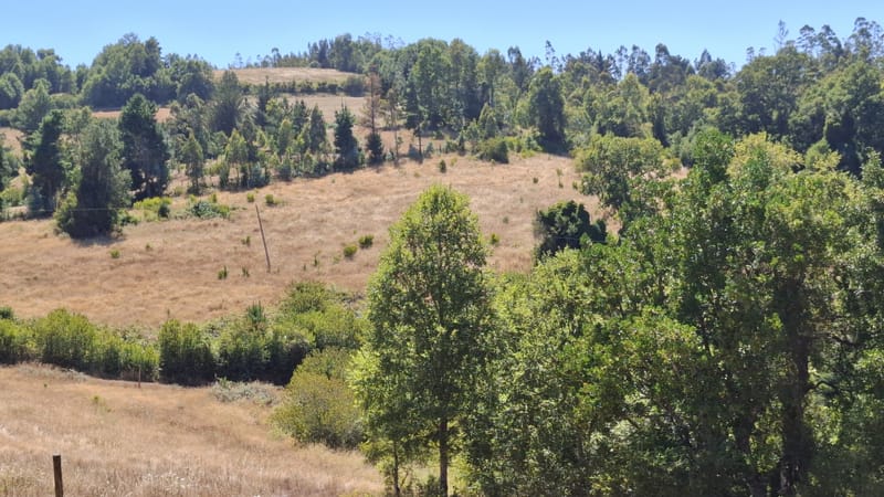 PARCELAS DESDE $40.000.000.- TEMUCO