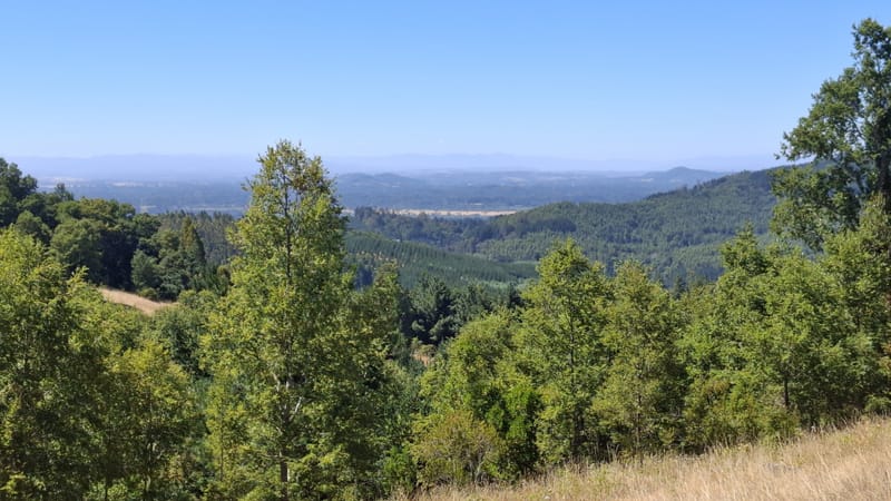 PARCELAS DESDE $40.000.000.- TEMUCO