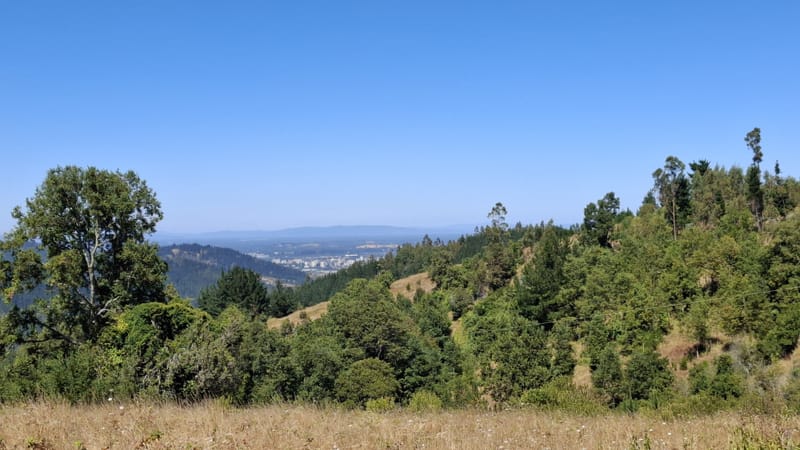 PARCELAS DESDE $40.000.000.- TEMUCO