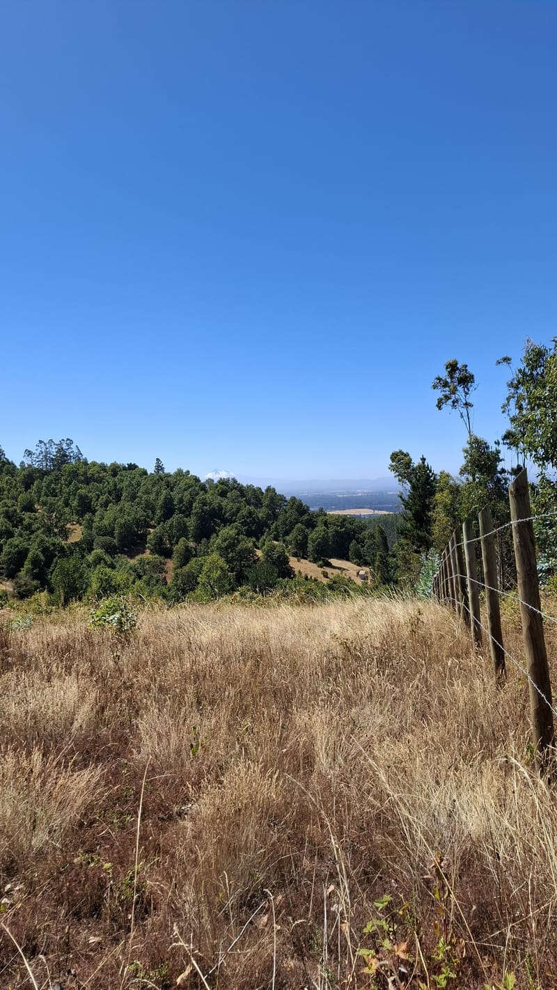 PARCELAS DESDE $40.000.000.- TEMUCO