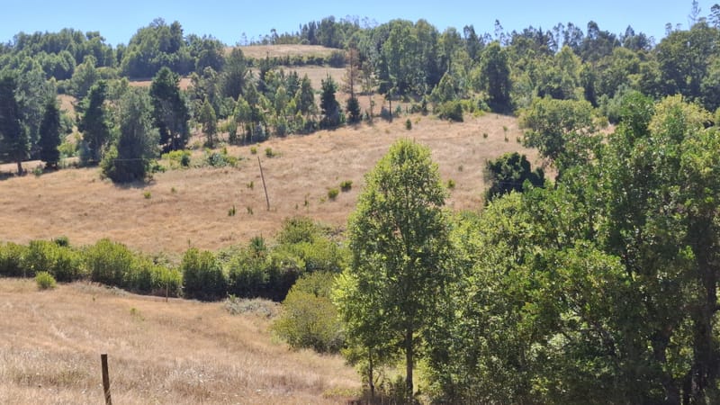 PARCELAS DESDE $40.000.000.- TEMUCO