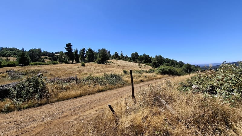 PARCELAS DESDE $40.000.000.- TEMUCO