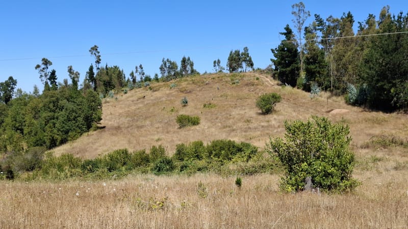 PARCELAS DESDE $40.000.000.- TEMUCO