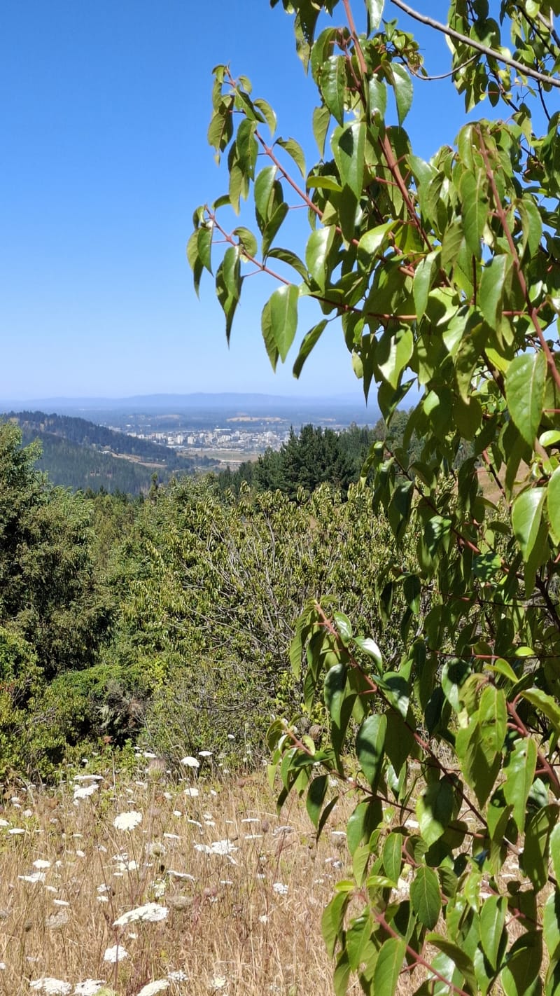 PARCELAS DESDE $40.000.000.- TEMUCO