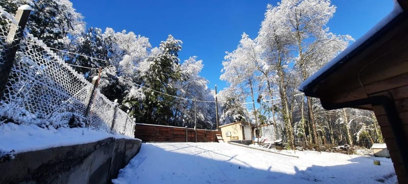 PARCELA $110.000.000.- CURACAUTÍN