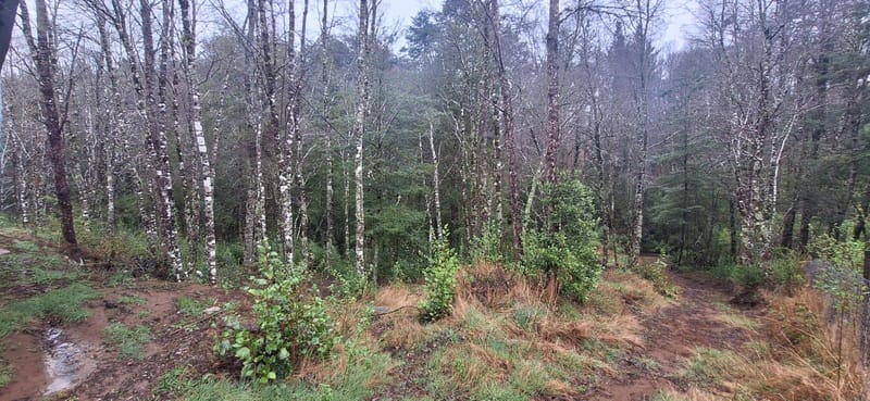 PARCELA $110.000.000.- CURACAUTÍN