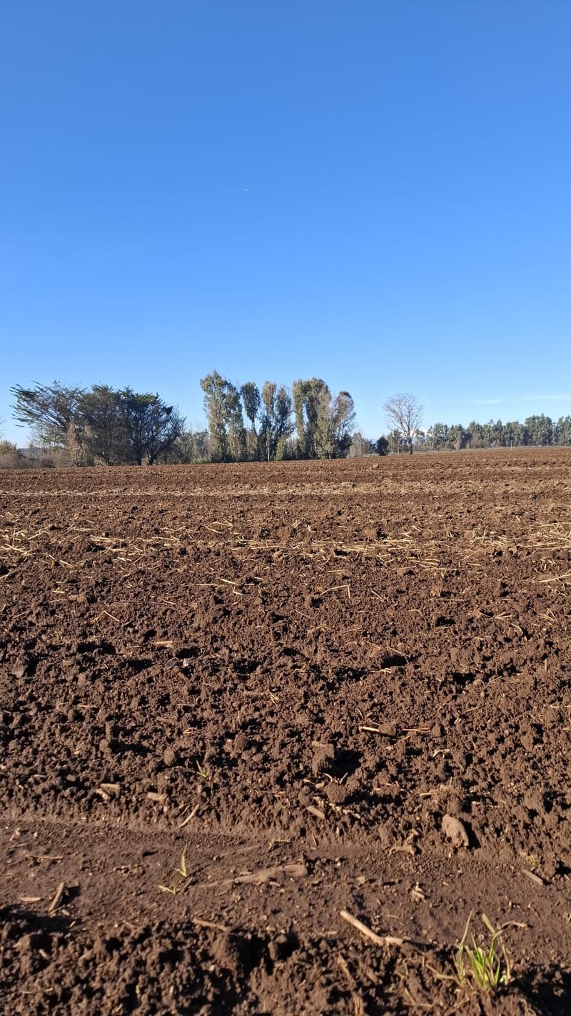 PARCELAS $6.500.000.- VICTORIA