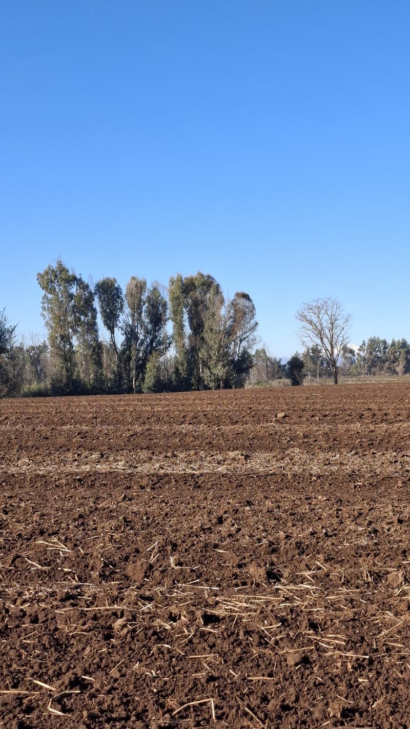 PARCELAS $6.500.000.- VICTORIA