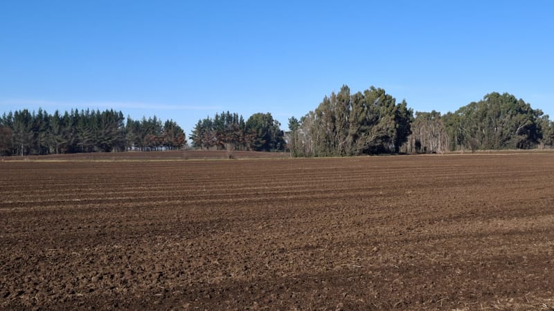 PARCELAS $6.500.000.- VICTORIA