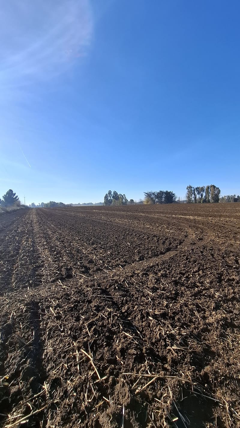 PARCELAS $6.500.000.- VICTORIA