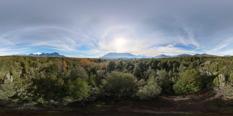PARCELA $45.000.000.- PUCÓN