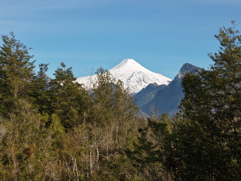 PARCELA $45.000.000.- PUCÓN