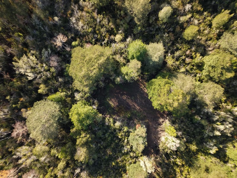 PARCELA $45.000.000.- PUCÓN