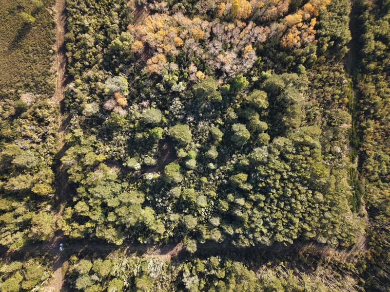 PARCELA $45.000.000.- PUCÓN