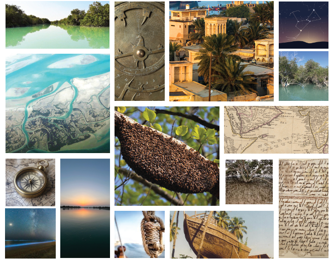 Listening to the Tide