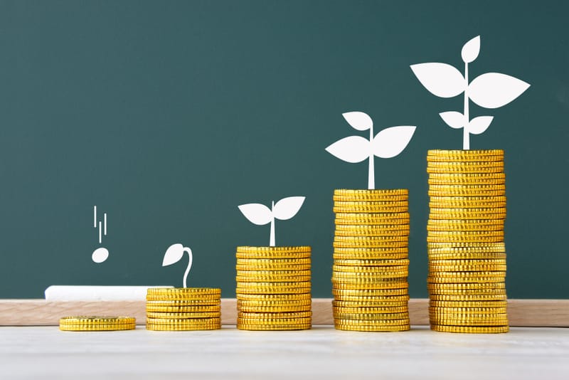 מה זה בכלל דוח שנתי? ומי צריך להגיש דוח?