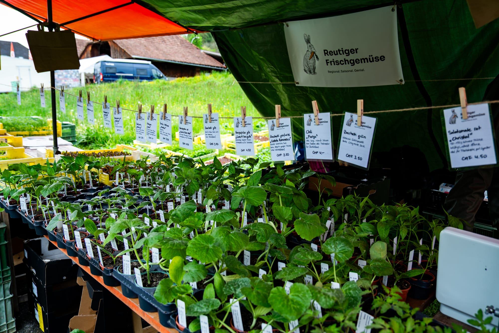 Reutiger Frischgemüse