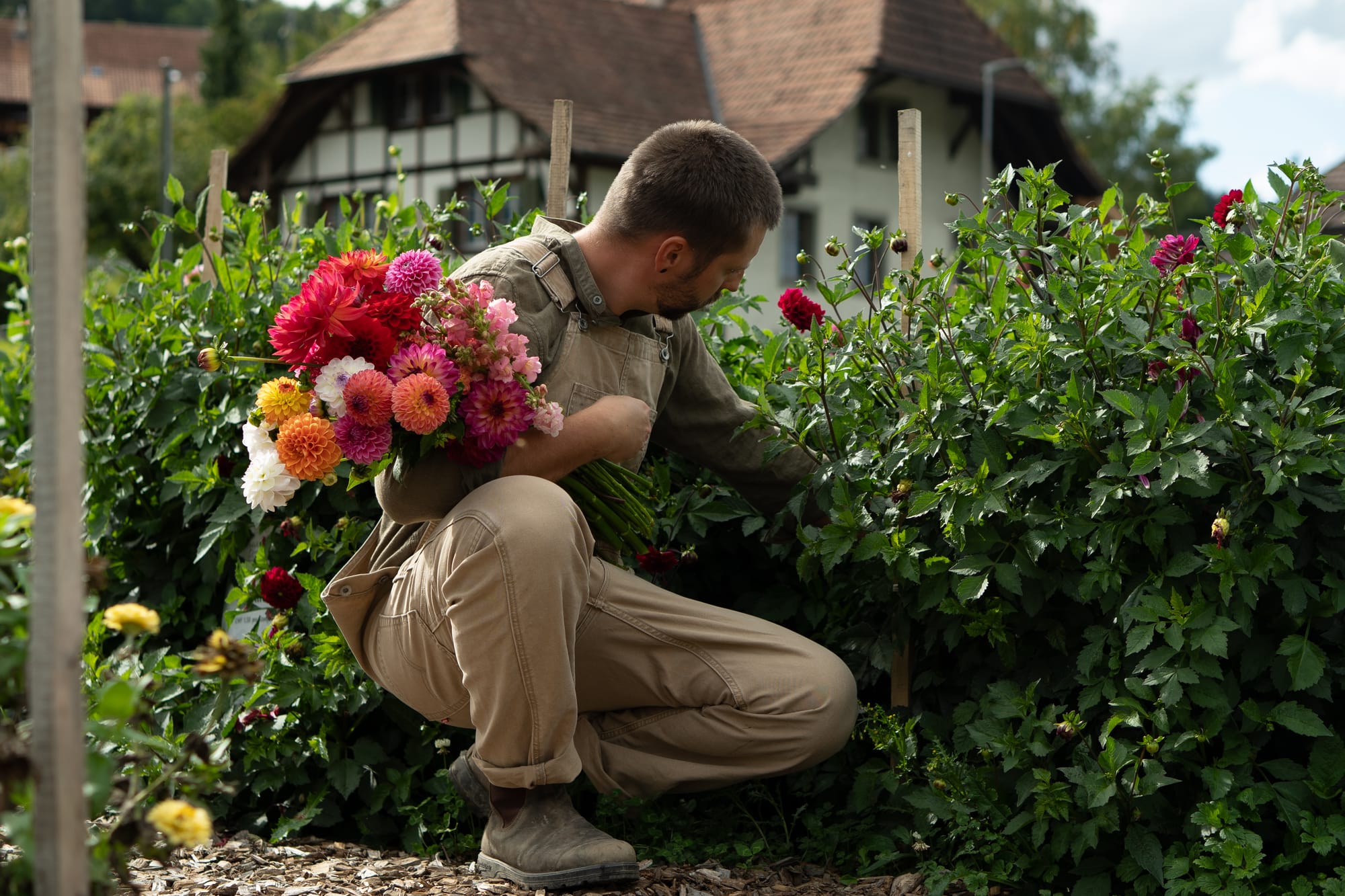 Reutiger Frischgemüse