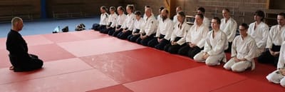 Stage d'arts martiaux japonais le 12 et le 14 août 2024