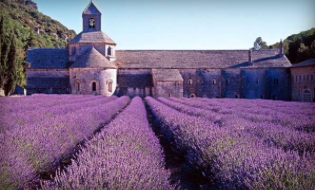 Bal des Balkans-Mariage Franco-turc