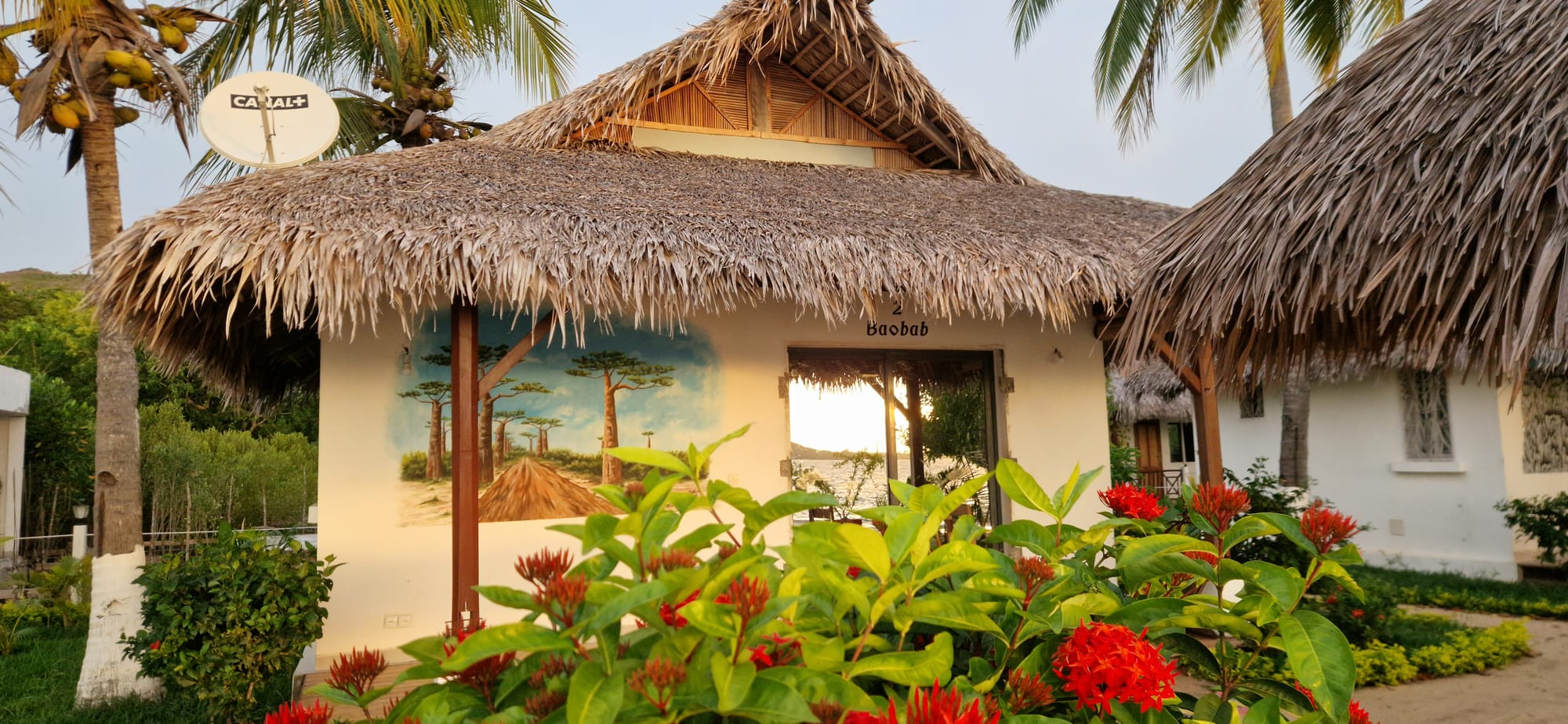 Bungalow Baobab