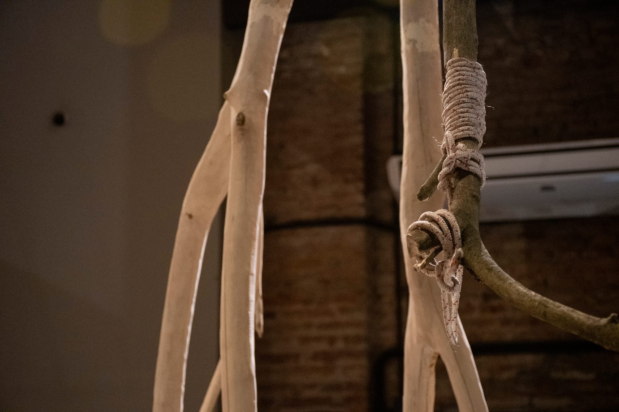 Herramientas para trazar el cielo - ADRIÁN SOSA