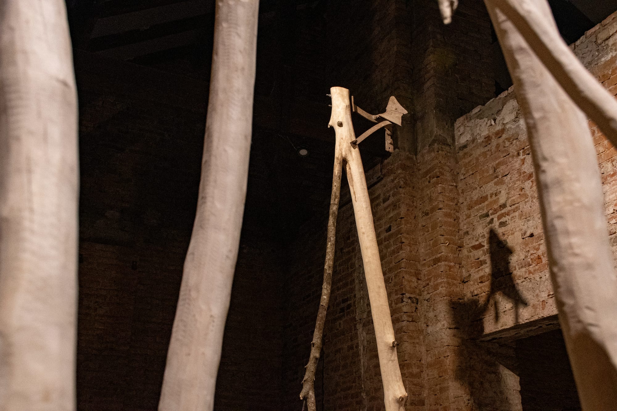 Herramientas para trazar el cielo - ADRIÁN SOSA