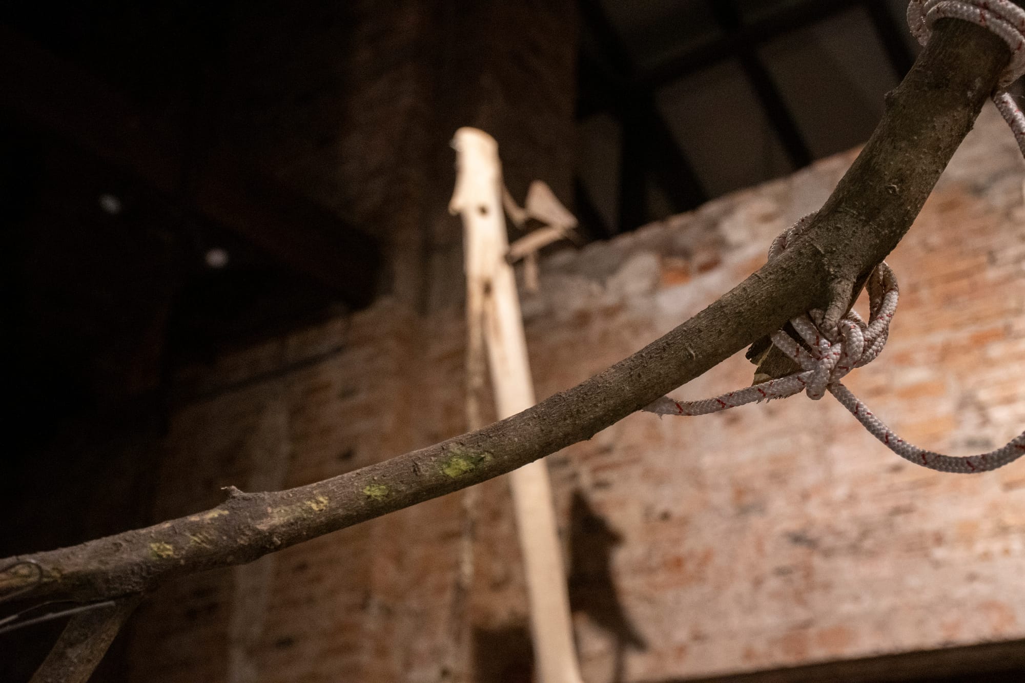 Herramientas para trazar el cielo - ADRIÁN SOSA