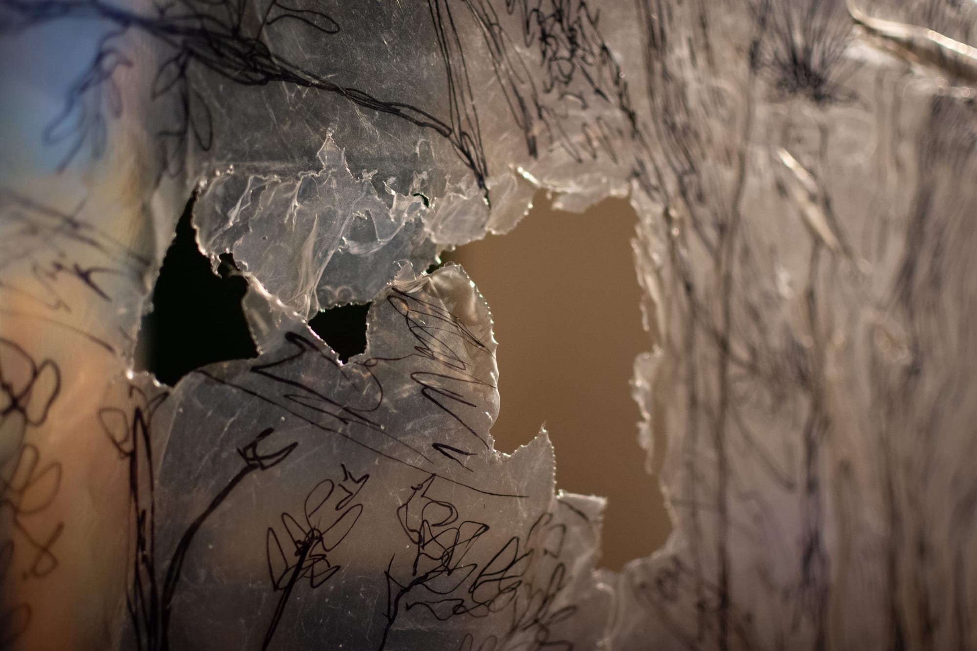 Utopía del paraíso