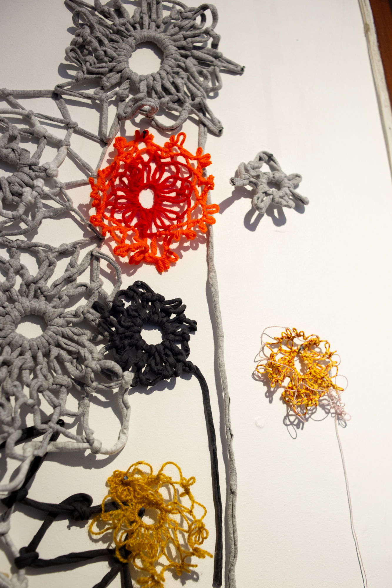 Open Studio - COLECTIVA