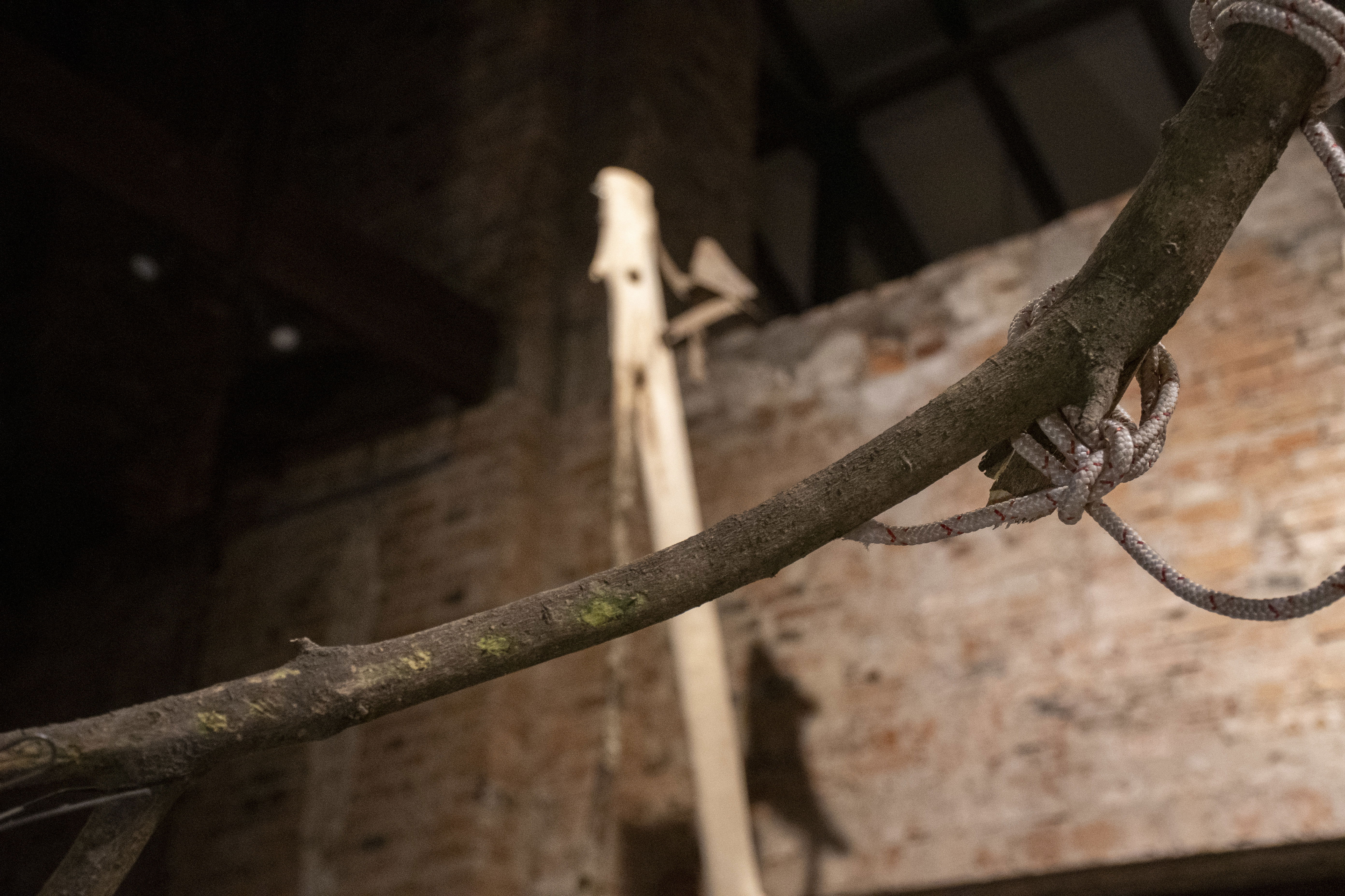 Herramientas para trazar el cielo - ADRIÁN SOSA