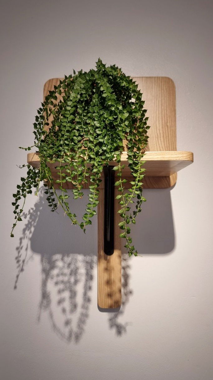 Restaurant Interior Design