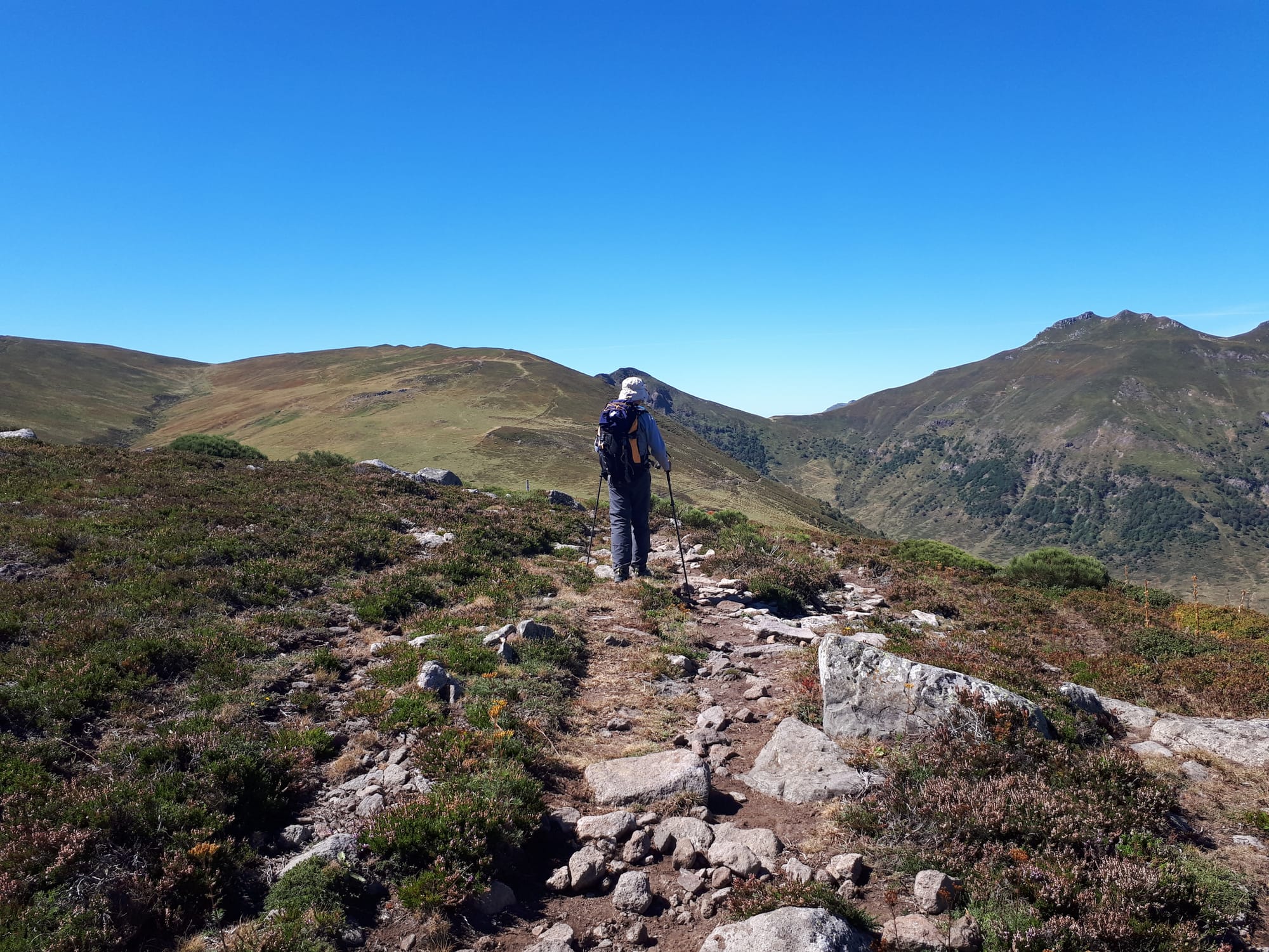 Cantal
