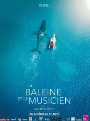 La Baleine et le Musicien