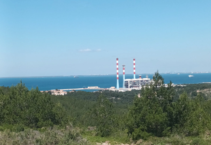 Les Demoiselles de Ponteau