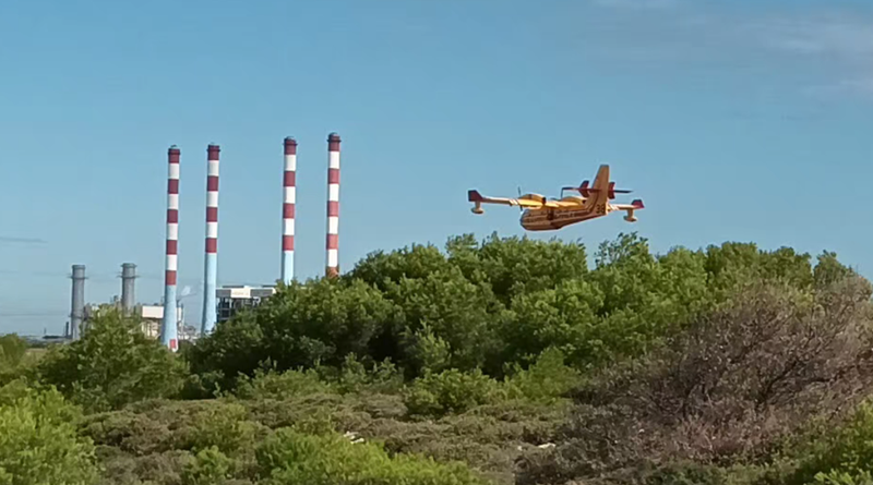 Les Demoiselles de Ponteau