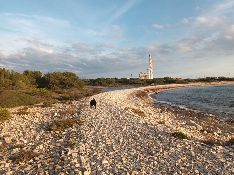 Les Demoiselles de Ponteau