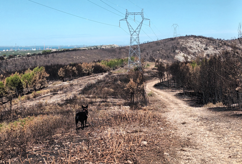 Feu 17 juillet 2025 Trou du Loup à Martigues