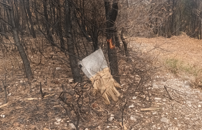 Feu 17 juillet 2025 Trou du Loup à Martigues