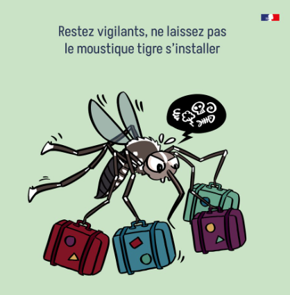 MOUSTIQUES