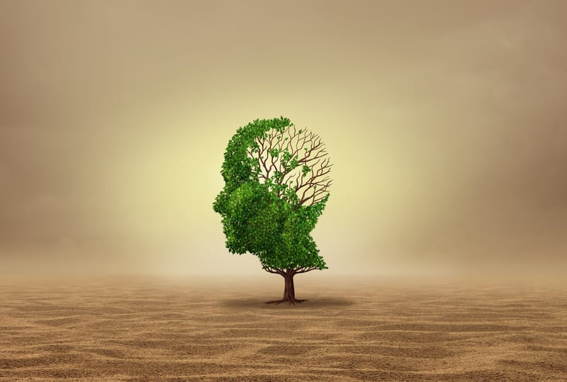 אימון מנטלי לבריאות נפשית - כלים לאיזון ושיפור אורח החיים